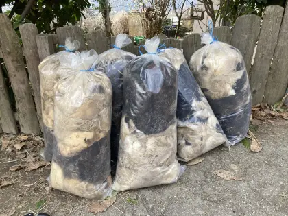 Schafwolle als Dünger