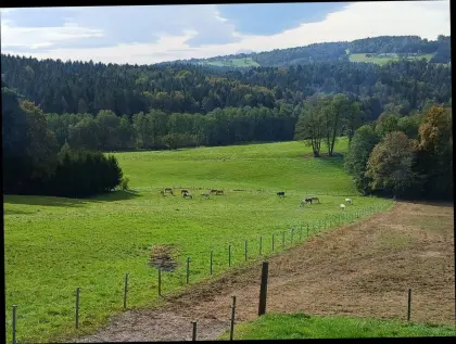 Einstellplätze auf Kurtispferdehof in Ligist