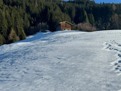 Ca. 5,8 ha landwirtschaftliche Fläche zu verpachten