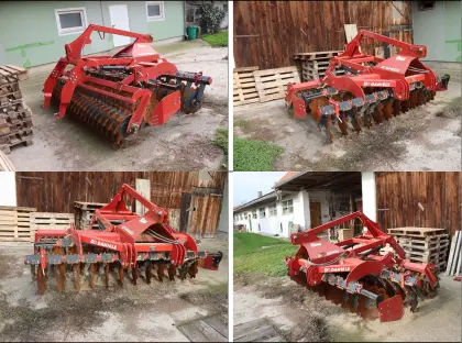 Scheibenegge Daniele - Bj. 2023