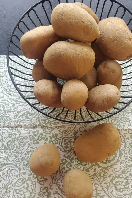 Speisekartoffel zu verkaufen