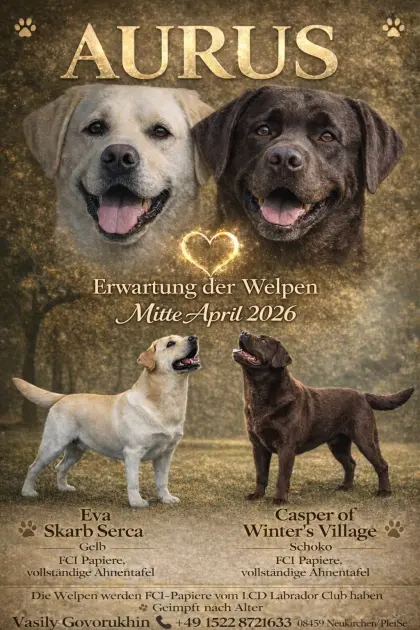 B-Wurf erwartet Mitte April