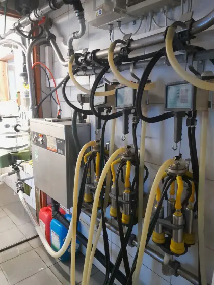 Rohrmelkanlage Westfalia