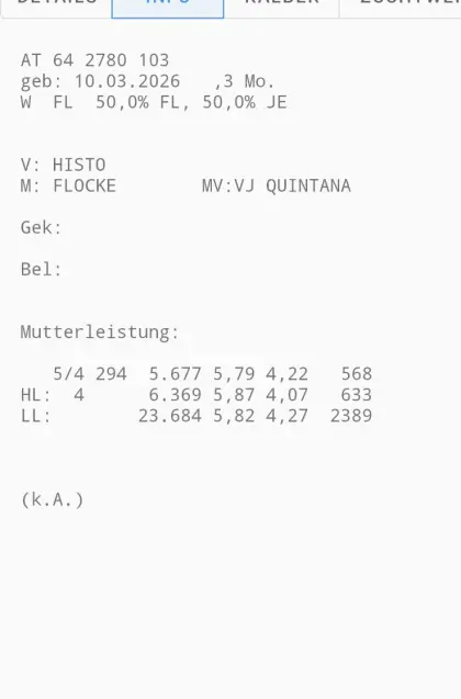 Bio Jersey x Fleckvieh Kuhkalb