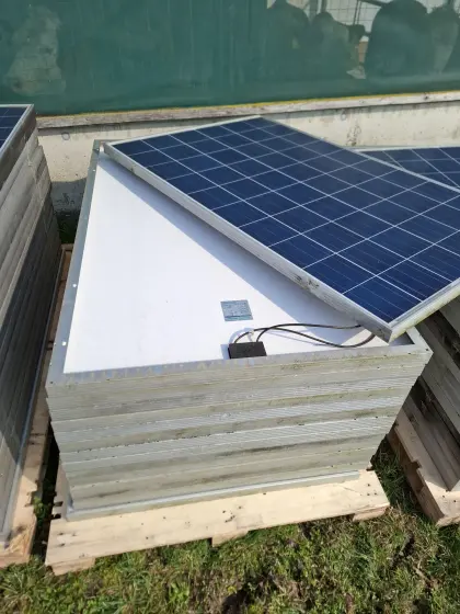 PV Module Phono Solar 240P