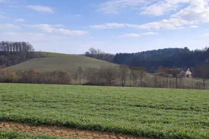 Landwirtschaftliche Nutzflächen