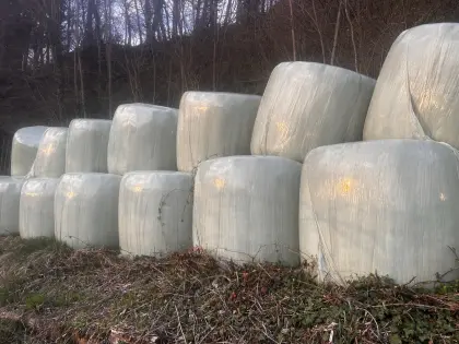 Silageballen