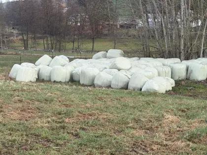 Verkaufe Silageballen, Feldfutter