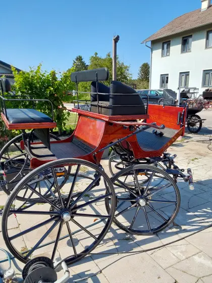 diverse Fahrkutschen ein - und zweispännig