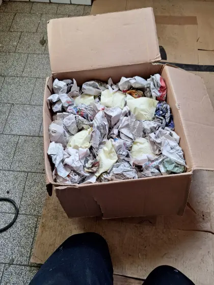 Bruteier von Enten