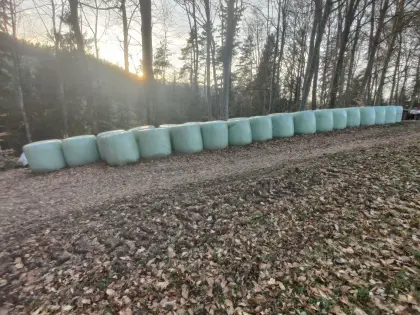 Silageballen