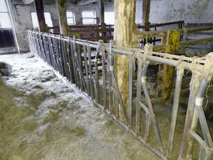 Schauer Selbstfanggitter