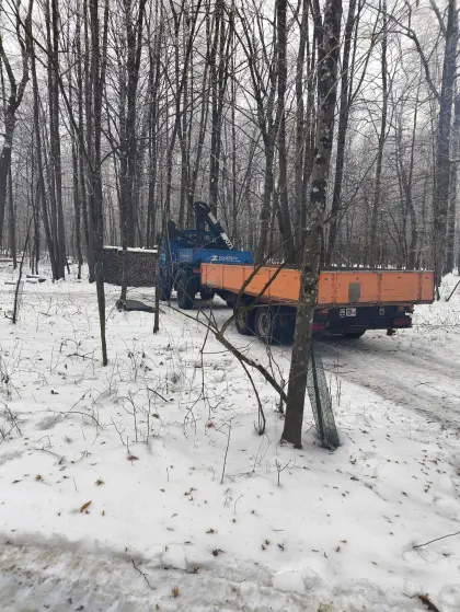 Wellmeyer Wilhelm Tandem Tieflader Kipper, Model M1209