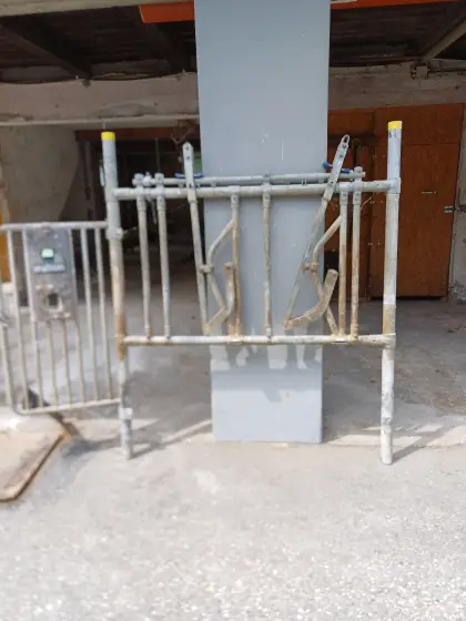 Kälberfressgitter, Fressgitter, Kälberaufstallung