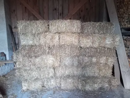 Stroh in Kleinballen zu vergeben