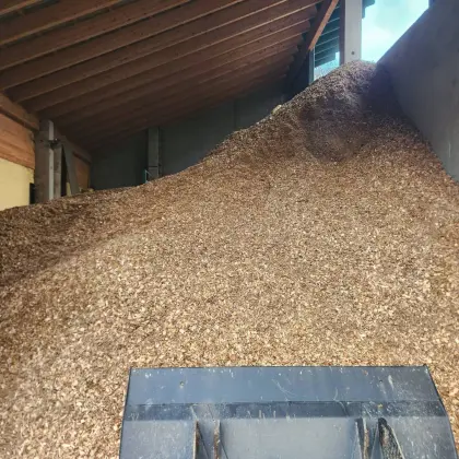 Hackschnitzel überwiegend Hartholz