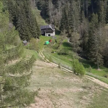 Einstellplatz Offenstall für Wallach