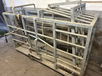 Klauenpflegestand Schwein