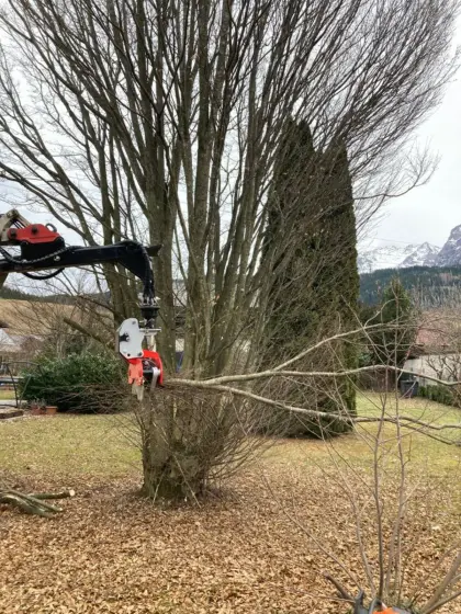 Nisula 155E Energieholzzange, Schreitfuß