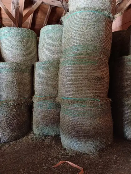 Heuballen in Leutasch zu verkaufen