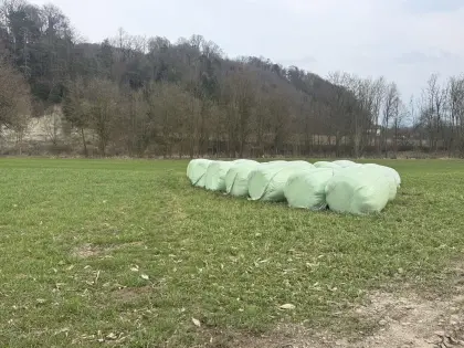 Luzernesilage-Ballen