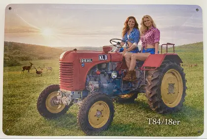 Blechschild 30x20cm Steyr T84/18er mit Bäurerinnen