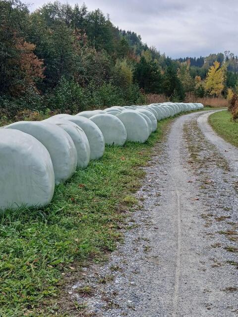 Grasilageballen