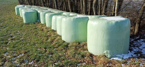 Silageballen