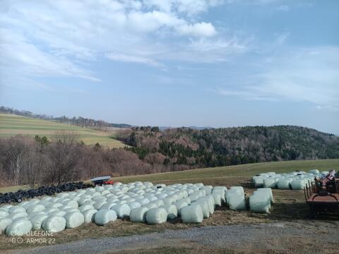 Silo Ballen