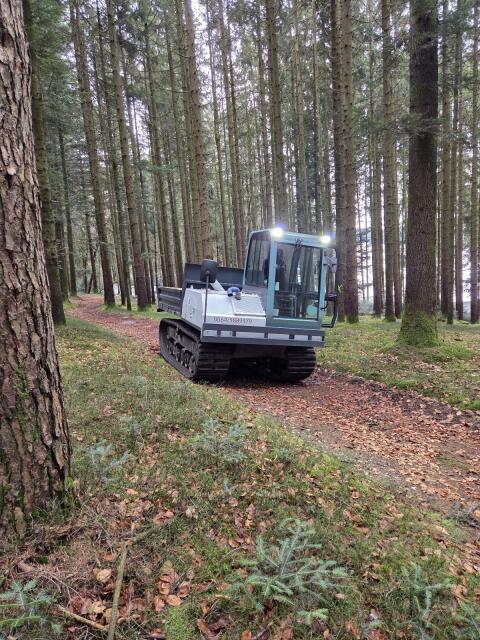 Yanmar Raupendumper Takeuchi