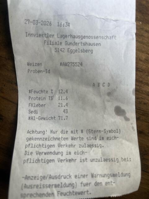 Futterweizen