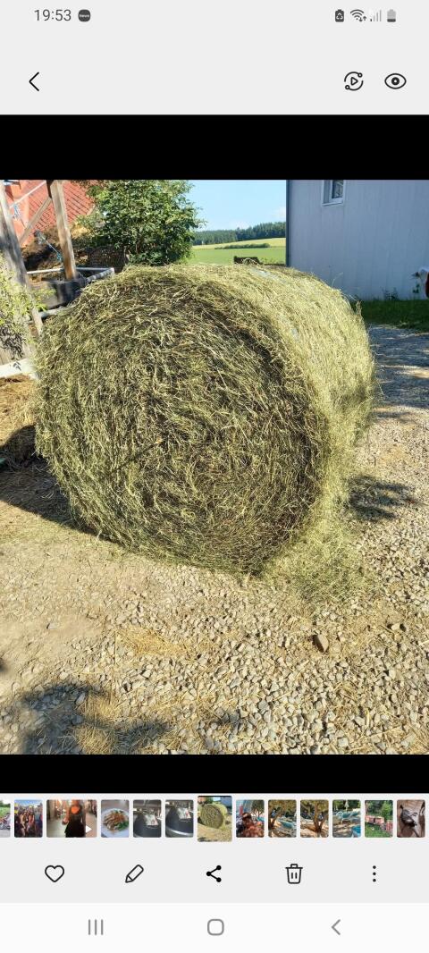 Heurundballen 1. und 2. Schnitt
