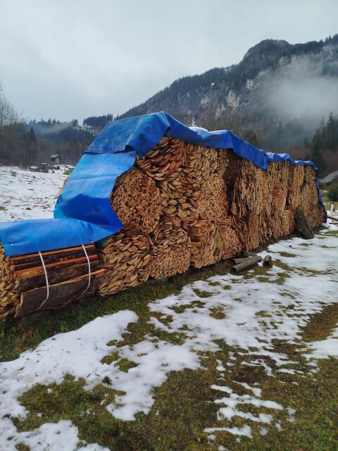 Schwartling Brennholz