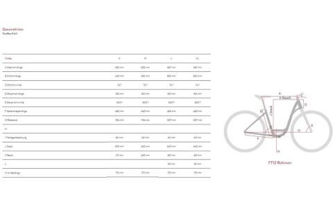 E-Bike Raymon Tourray E 6.0 NEU