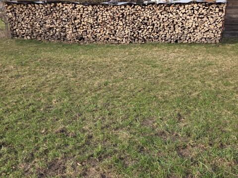 Brennholz-Hartholz
