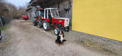 Steyr 30 Plus