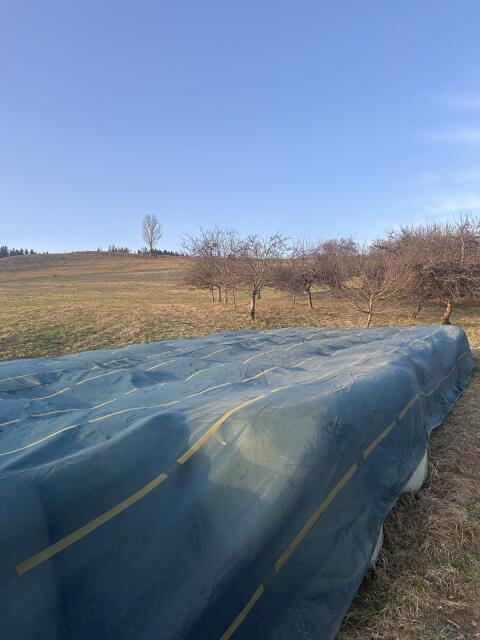Bio Silageballen