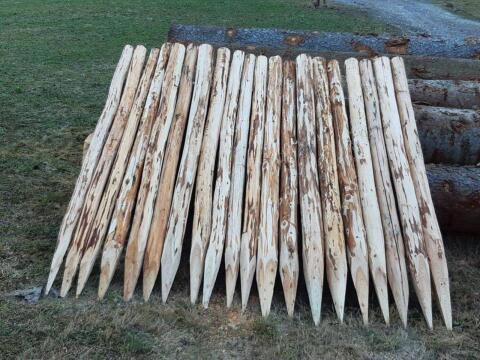 Haagsäulen, Lärchenstiefel, Zaunsteher, Baumschutz