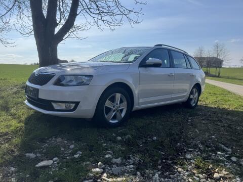 Skoda Octavia 1,4 Benzin/Erdgas