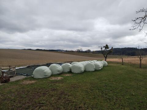 Siloballen, Silageballen 15 Stk.