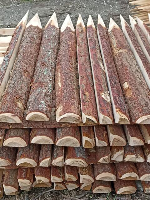 Lärchenstempel/phal zu verkaufen