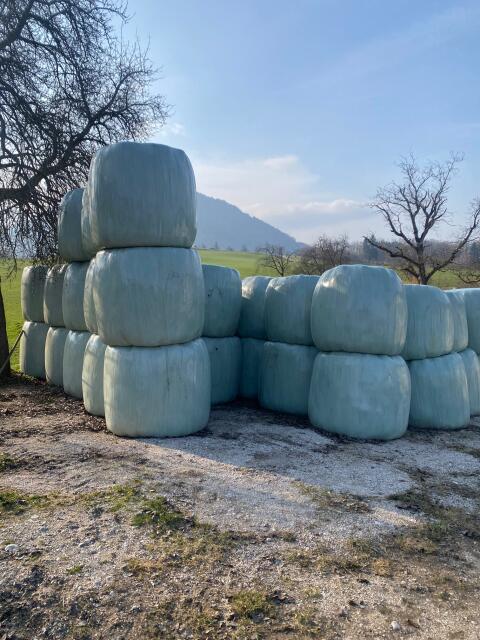 Bio-Heulage-Ballen