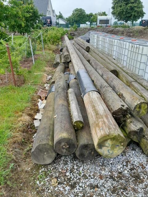 Telegraphenmasten 20 Stk.