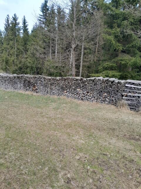 Brennholz