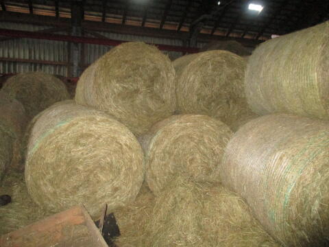 Verkauf Heurundballen