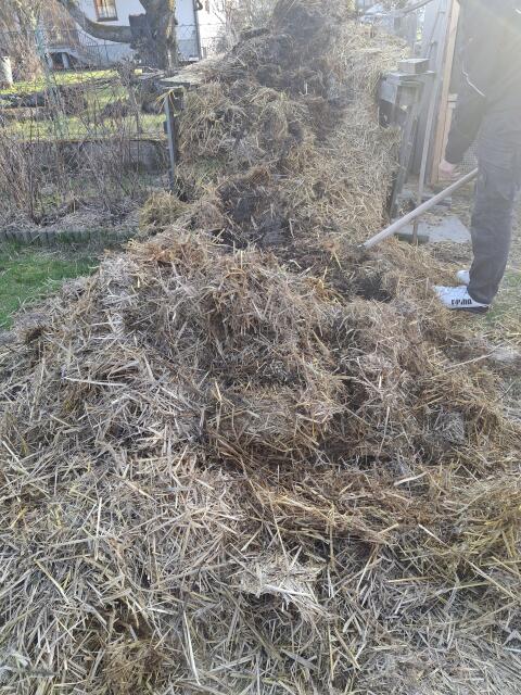 Hasenmist zu verschenken