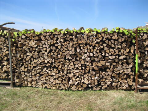 Brennholz Kaminholz Buche trocken