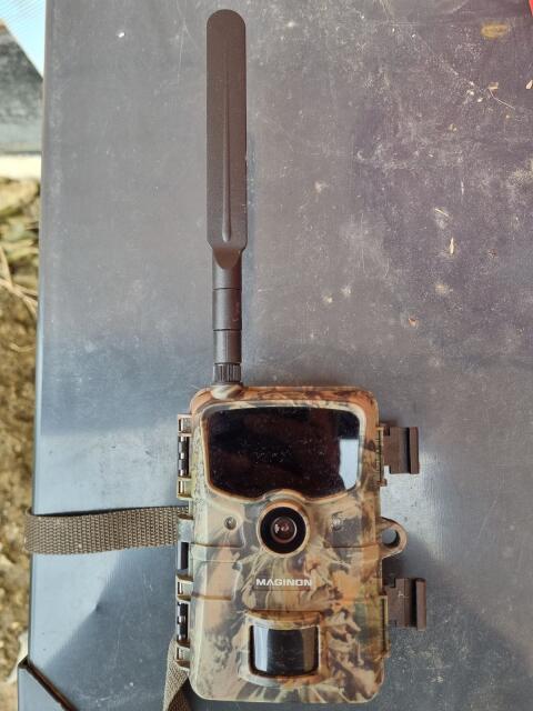 Wildkamera 4G Maginon