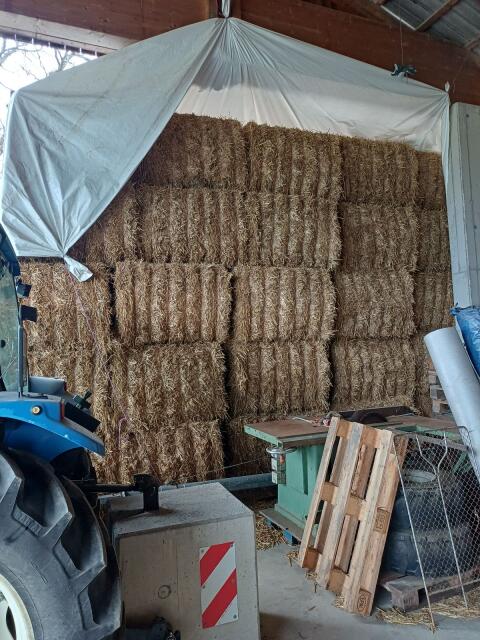 Triticale Stroh