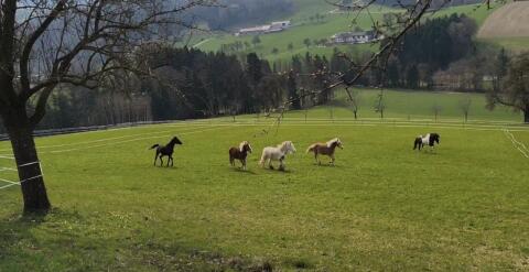 Einstellplätze frei